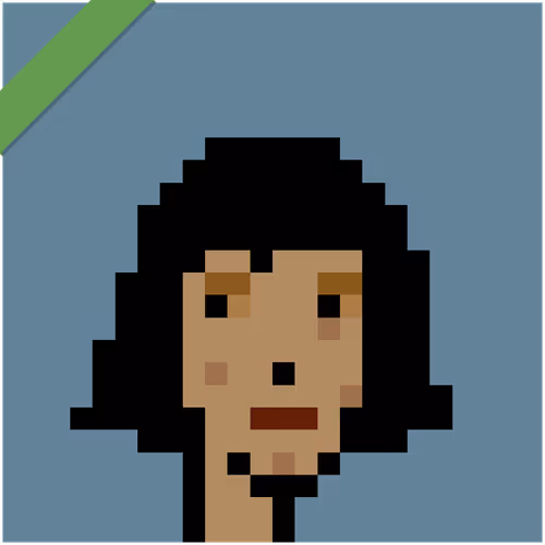 Wrapped Cryptopunks