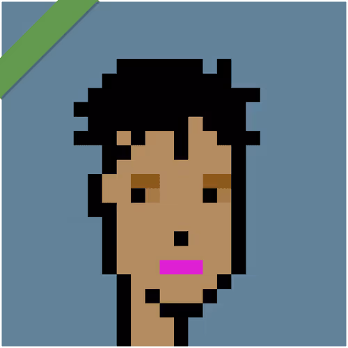 Wrapped Cryptopunks