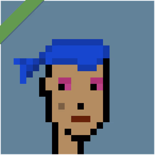 Wrapped Cryptopunks