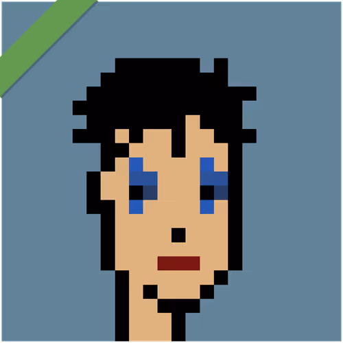 Wrapped Cryptopunks