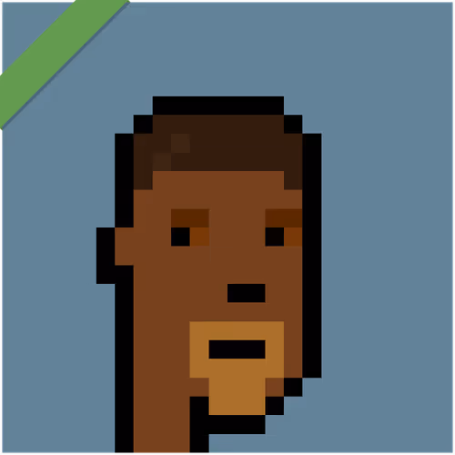 Wrapped Cryptopunks