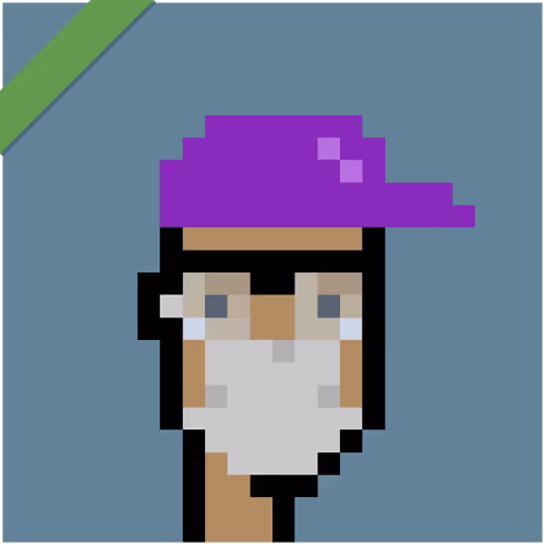 Wrapped Cryptopunks