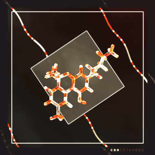 120434408424713282501673818906