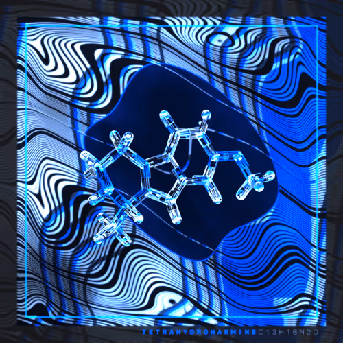 Item #436540204938575462372074295500 Media