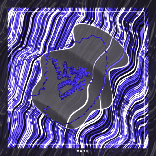 783201019904935907072239805285