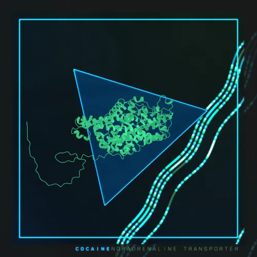 Item #645005954660609195535164961489 Media