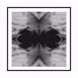 Moth