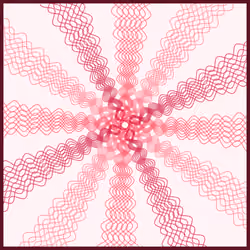 Rays of Rose