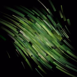 Warp
