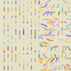 Convergence 
