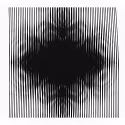 WHITE LINES