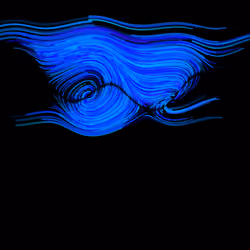 Fingerprint