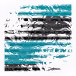 Retrospection
