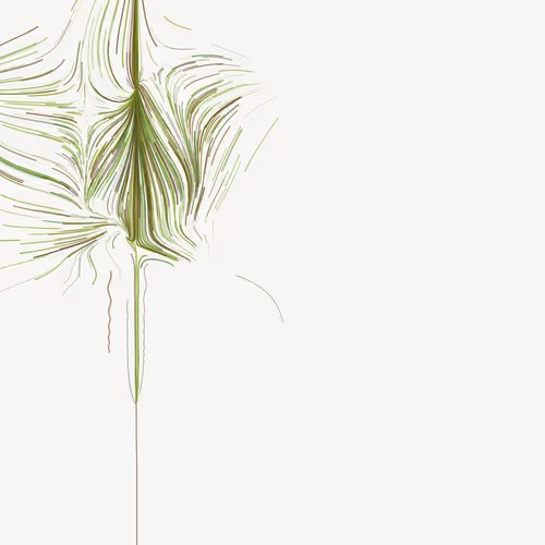 Cracks in the Fabric