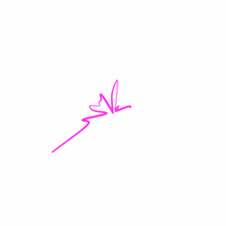 Scribble
