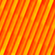 1244
