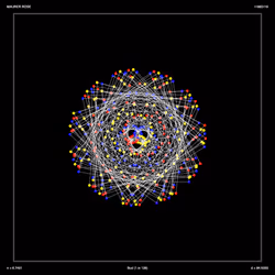 The Bully Meow Skull Rose
