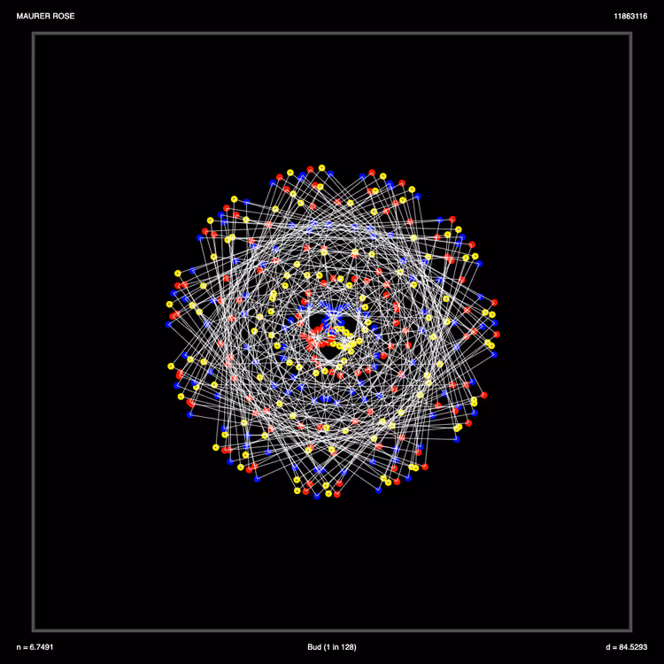 The Bully Meow Skull Rose