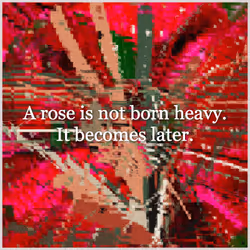 La Floristería #1246