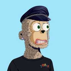 Rare y00ts YC #416