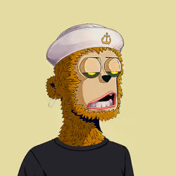 Rare y00ts YC #340