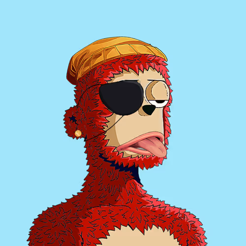 Rare Y00ts Yc