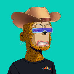 Rare y00ts YC #472