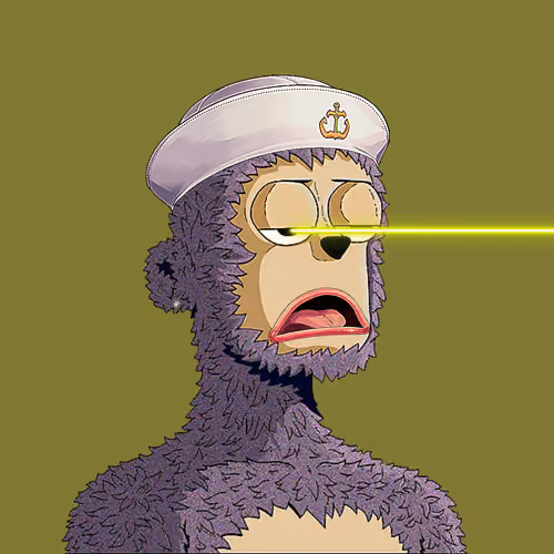 Rare y00ts YC #1238