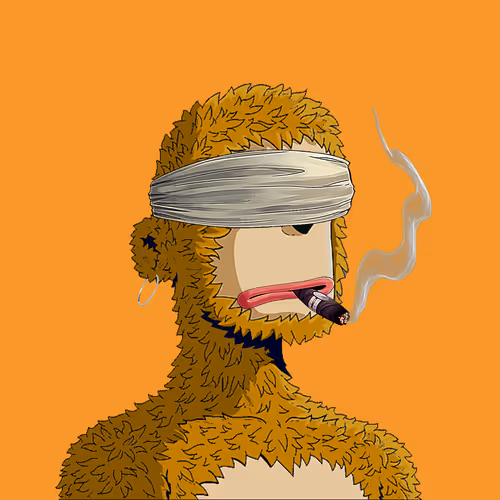 Rare Y00ts Yc
