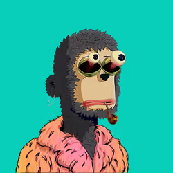 Rare y00ts YC #377
