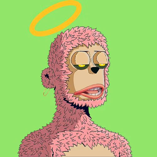 Rare Y00ts Yc