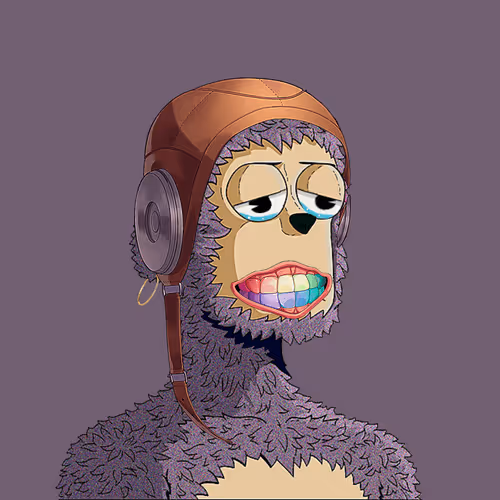 Rare Y00ts Yc
