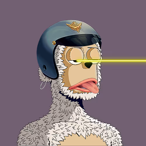 Rare Y00ts Yc