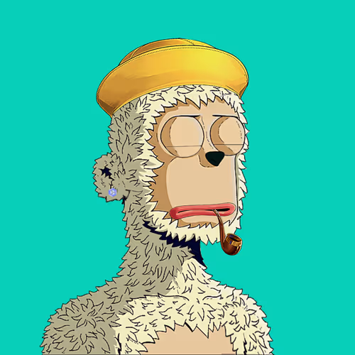 Rare Y00ts Yc