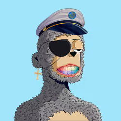 Rare y00ts YC #381
