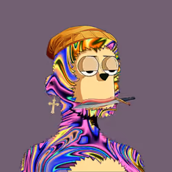 Rare y00ts YC #491