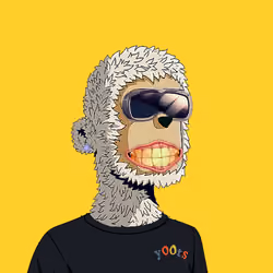 Rare y00ts YC #376