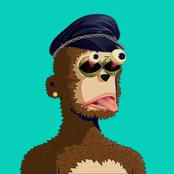 Rare y00ts YC #500