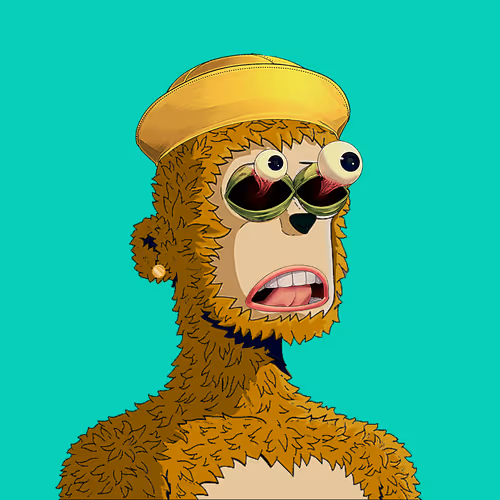 Rare Y00ts Yc