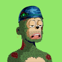 Rare y00ts YC #5249