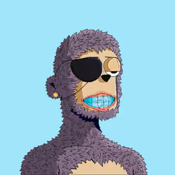Rare y00ts YC #5248