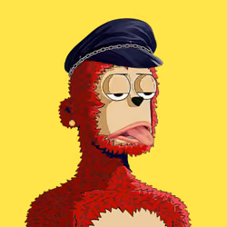 Rare y00ts YC #384