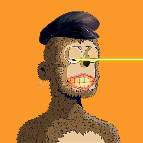 Rare Y00ts Yc
