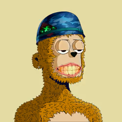 Rare y00ts YC #5242
