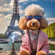 Paris, the dog wif out hat