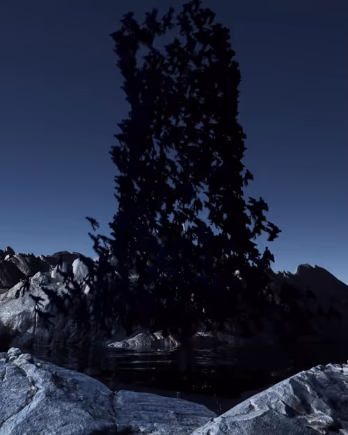 Item #55000500006 Media