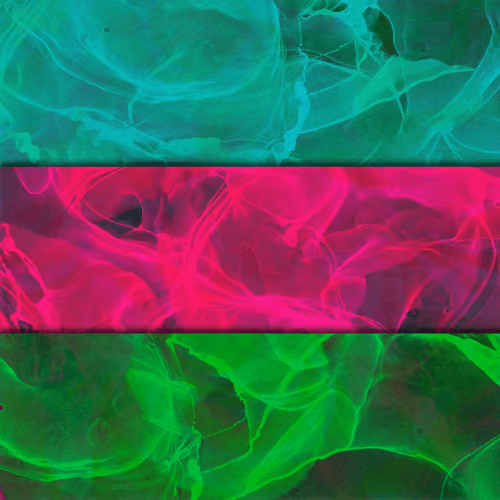 Canvas #55