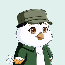 567