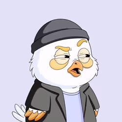51