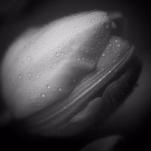 Simplicity - ZtWjThuJSb